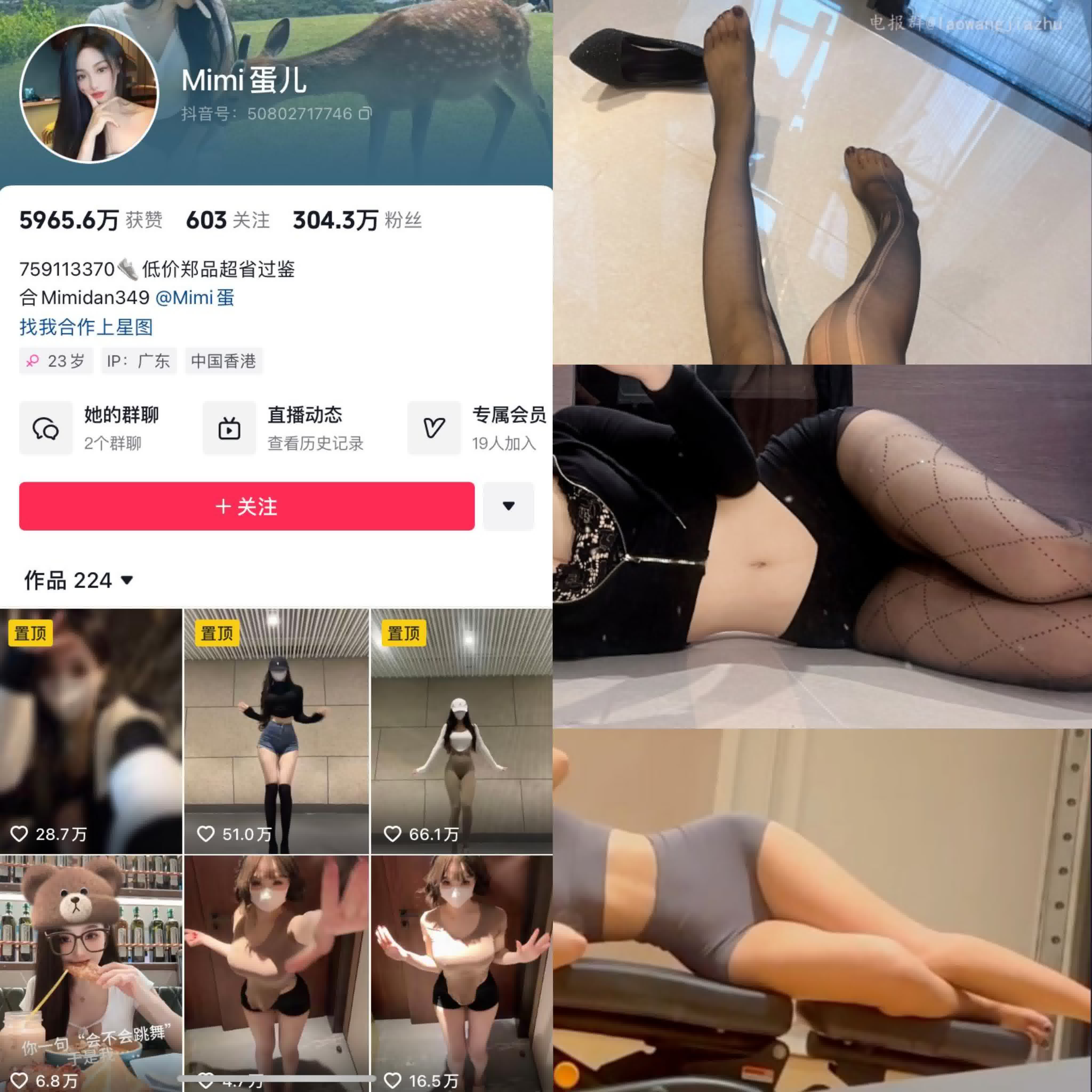 Mini蛋儿