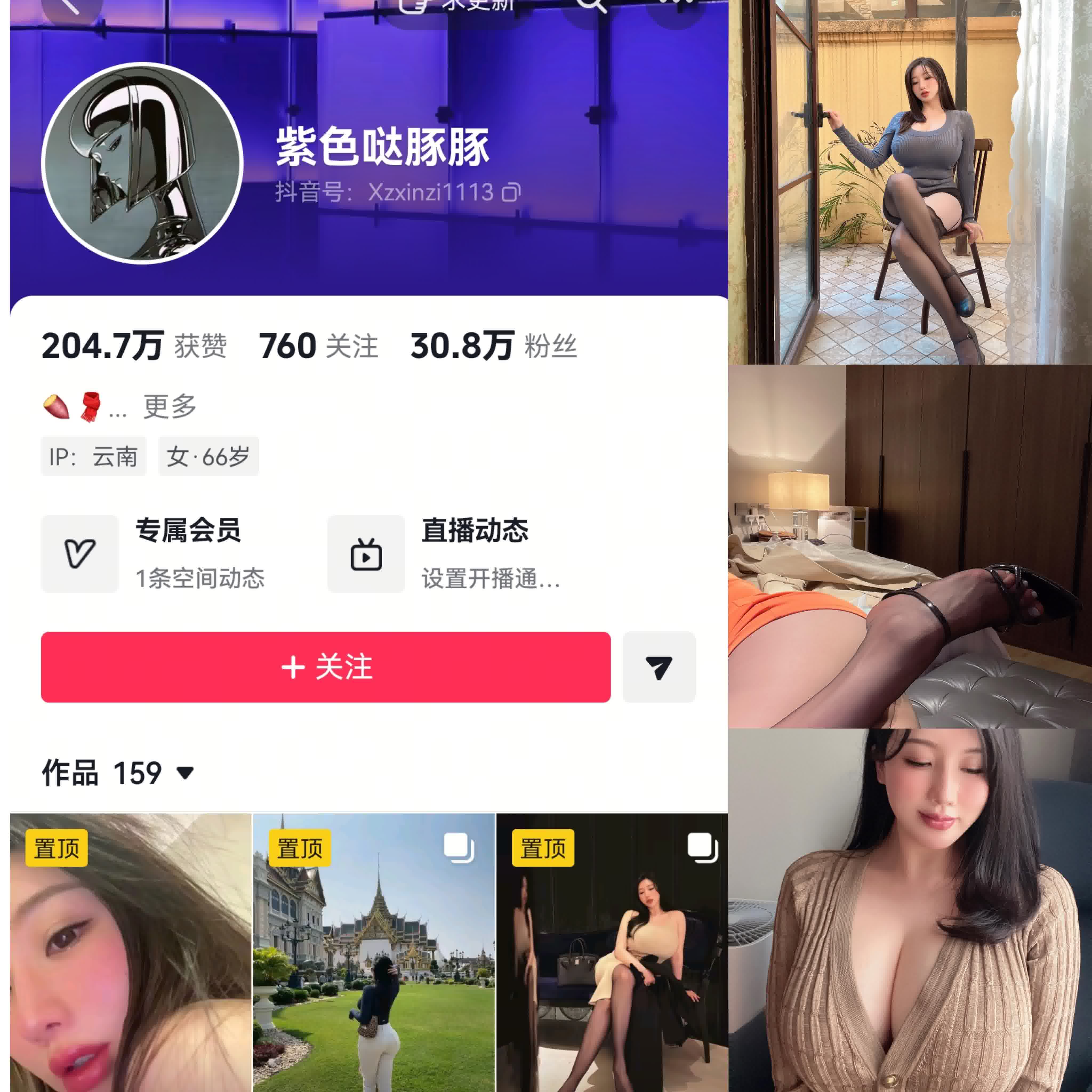 紫色哒豚豚/童小芯