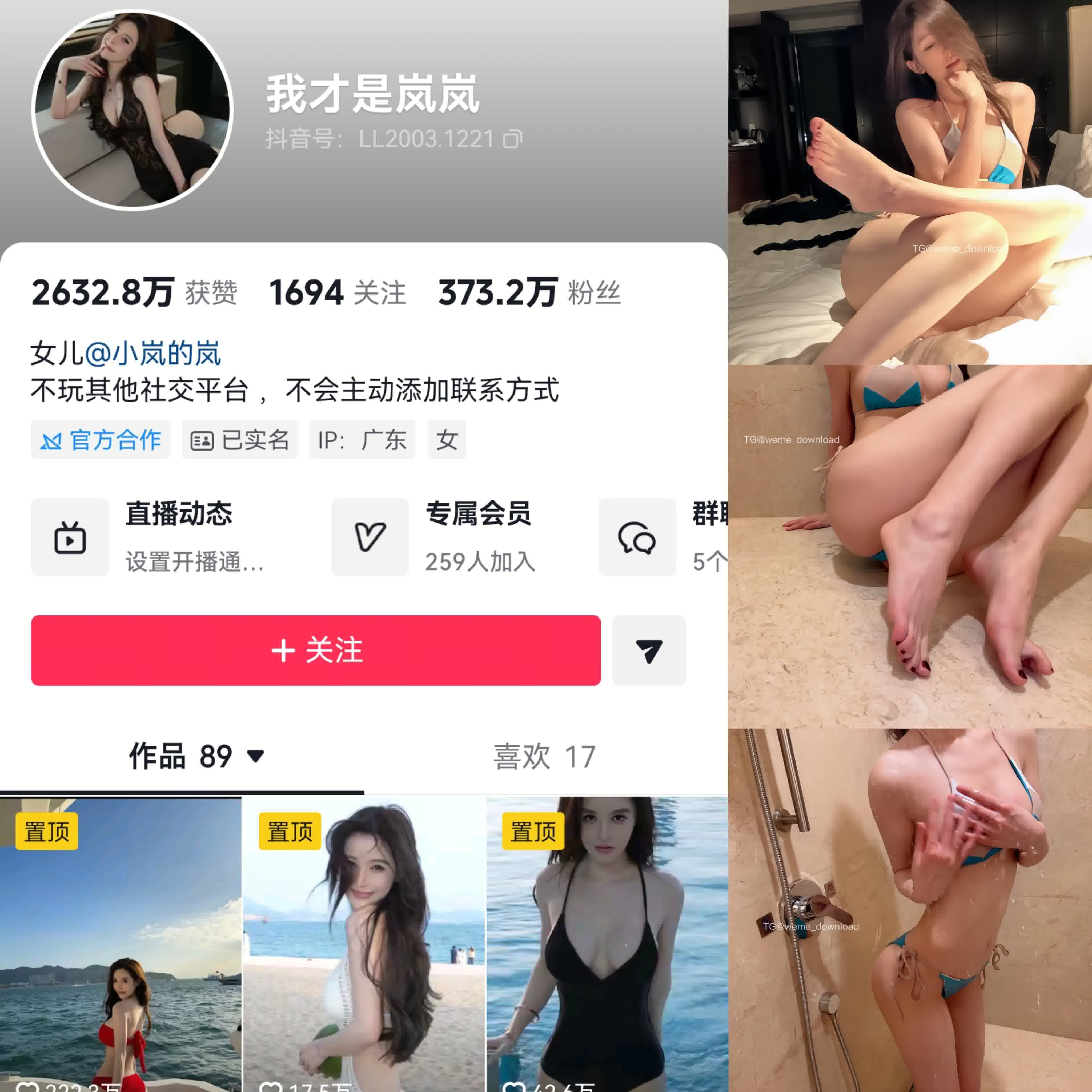 我才是岚岚