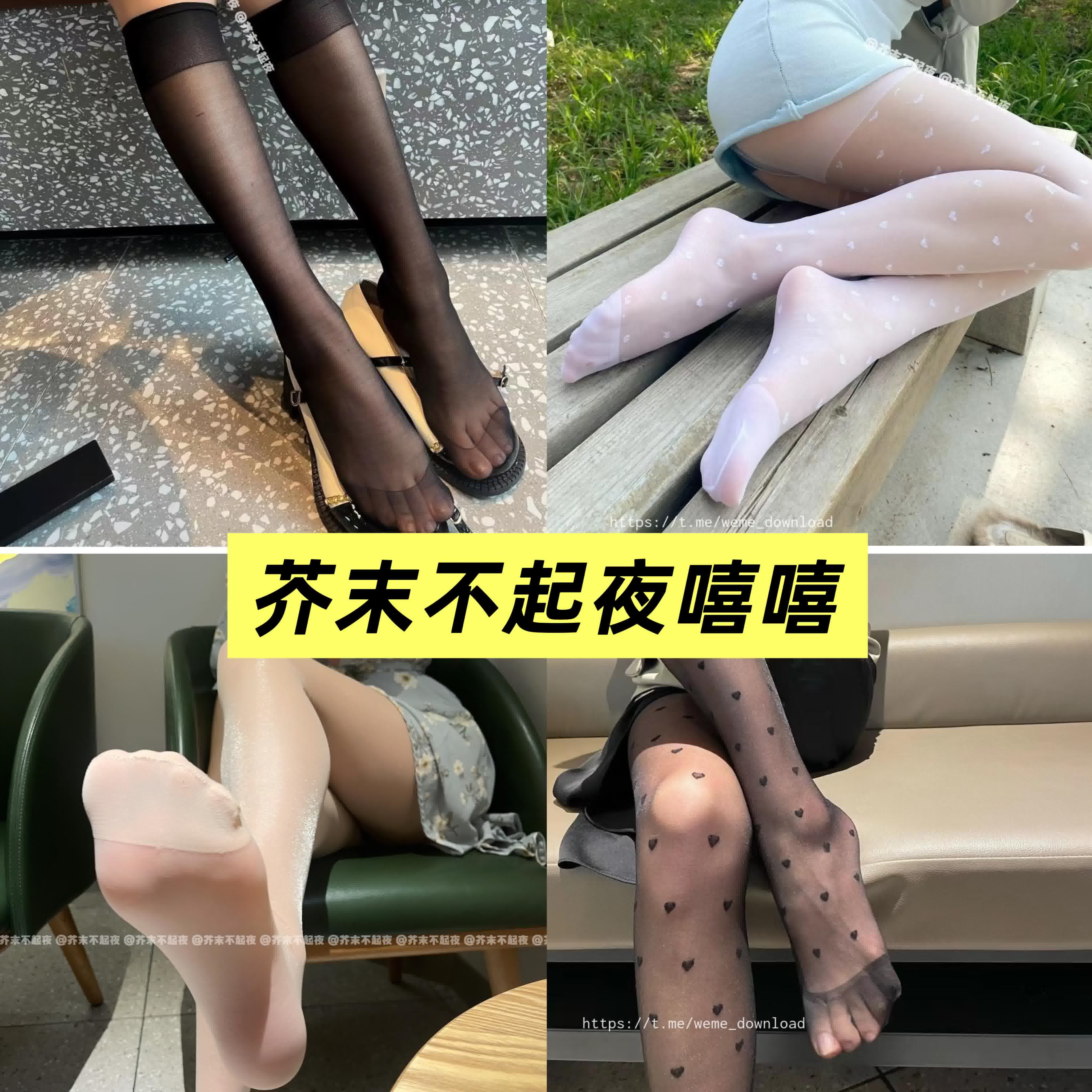 芥末不起夜嘻嘻